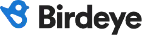 Birdeye-Logo